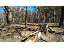 IMG 20190420 095438.jpg