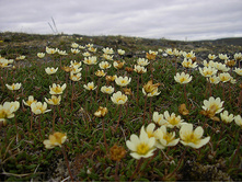 �������� ���