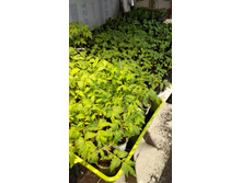 IMG 20190407 083942382.jpg