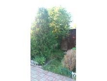 IMG 20180703 195752.jpg