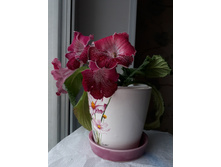 ���������� (������)