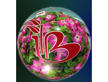 �������� ����������