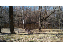 IMG 20190420 095315.jpg