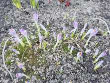 IMG 20190420 095153.jpg