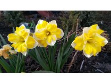 IMG 20190420 163705.jpg