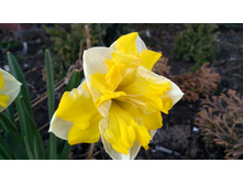 IMG 20190420 163749.jpg