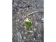 IMG 20190408 180233.jpg