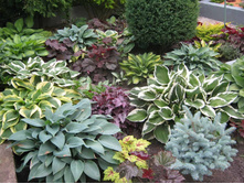 ����� - ������ ����