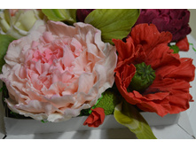 ���� � ��� �� ��������