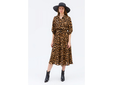 F21510 ������ ������� ����� �.48,����� ����  35$
