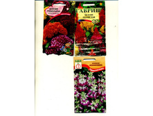 ������� �����. �����