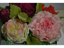 ���� ������ � ���� �� ��������