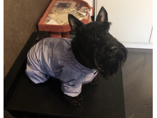 Viber image 2019-03-26 , 16.51.49.jpg