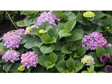  DSC0119 — �����.JPG