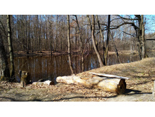 IMG 20190420 095404.jpg