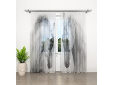 ����001-13526 1.jpg