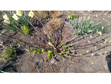 IMG 20190422 131906.jpg