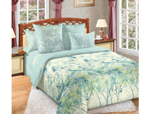 ������� 6 ����� 220 �� ������