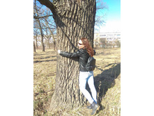 ���� ���� )