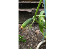 IMG 20190330 104136682.jpg