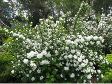 �������� (������) ��� ���������������.jpg