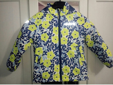 ������ Crockid -650���.