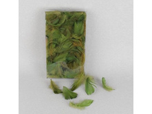 ����� ������, 10 ��, 65 �