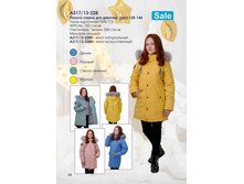 ��17/13-228 � ������-����� �/� 	Arctic Goose ���. ������, � - ����������� ������(����), 2000 ���