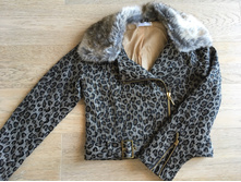 Pampolina ������, Wojcik ��������, ��� �� 134, 700�