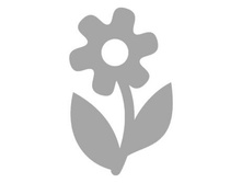 ������ 5*5 ��, ���� - 29 ���/��