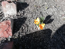 IMG 20190421 155325.jpg