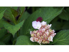  DSC0113 — �����.JPG