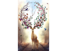 Lmc003 ���������.jpg