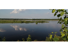 IMG 20190528 173628.jpg