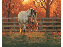 Mg3257 ������� 40�50 ���� 290 �.jpg