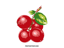 Ax167 ���� 85 �.jpg