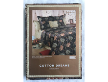 �dwin, �����-����