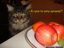 � ���� ���� ������?