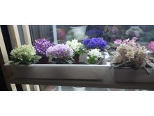 ������ �����.jpg