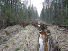 �������� ������������ ������