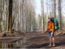 ���� ������