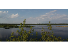 IMG 20190528 172057.jpg