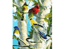 Mg3295 ������� 40�50 ���� 290 �.jpg