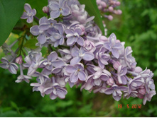 ������ ��������. 100�