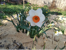 ������� ��������� �������