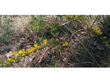 IMG 20190518 115335.jpg