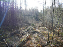 ����� ���̣���