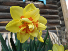 ������� �����