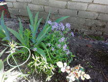 IMG 20190525 123644.jpg