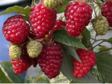 : ������ ������������ ���� ������������ 170� ���� 2��